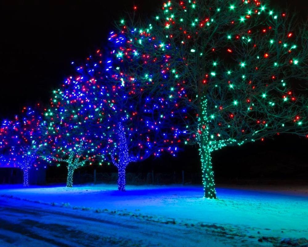 tree lighting in the Triad